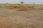 Terrain Agricole de 5,30 hectares à Nguéniéne