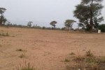 Terrain Agricole de 1,35 hectare à Keur Yoro Dia