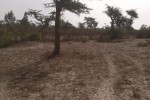 Terrain Agricole de 4245 m² à Darou Alpha 