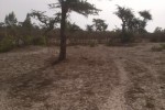 Terrain Agricole de 4245 m² à Darou Alpha  Terrain Agricole de 4245 m² à Darou Alpha