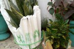 Pots de fleurs artistiques et plantes Pots de fleurs artistiques et plantes