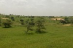 Terrain Agricole de 8,10 hectares à Kébémer