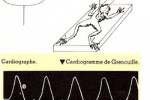 COURS SVT A DOMICILE COURS SVT A DOMICILE