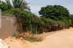 Terrain 800 mètre carré titre foncier saly Terrain 800 mètre carré titre foncier saly