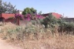 Terrain de 300m2 a Toubab Dialaw  Terrain de 300m2 a Toubab Dialaw