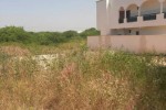 Terrain de 1000m2 a Toubab Dialaw  Terrain de 1000m2 a Toubab Dialaw