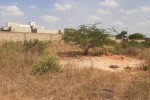 Terrain de 400m2 angle a Toubab Dialaw  Terrain de 400m2 angle a Toubab Dialaw