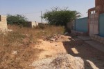 Terrain de 300m2 a Toubab Dialaw  Terrain de 300m2 a Toubab Dialaw