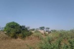 Terrain 300 mètre carré saly Joseph Terrain 300 mètre carré saly Joseph