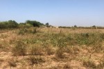 Terrain agricole 1,800 hectares mbour Terrain agricole 1,800 hectares mbour