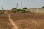 Lot de 160 terrains viabilisé a bambilor  Lot de 160 terrains viabilisé a bambilor