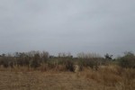 Terrain 3 hectares a Mbodienne Guej Terrain 3 hectares a Mbodienne Guej