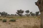 Terrain 2 hectares à Malicounda Nguérigne
