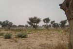 Terrain 2 hectares à Malicounda Nguérigne Terrain 2 hectares à Malicounda Nguérigne