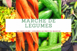 AMIRA MARCHE DE LEGUMES  AMIRA MARCHE DE LEGUMES