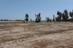LOT DE 67 PARCELLES A VENDRE A LAC ROSE LOT DE 67 PARCELLES A VENDRE A LAC ROSE