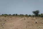 Terrains 300 mètres carrés à Saly Joseph Terrains 300 mètres carrés à Saly Joseph