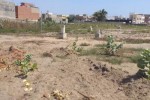 300 parcelle de 150m² a keur massar en face Aucha 300 parcelle de 150m² a keur massar en face Aucha