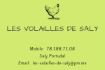 Vente Poulet de Chair Vente Poulet de Chair