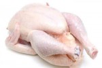 Poulets de chair Poulets de chair