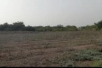 Terrain de 3 hectares à Bambilor 