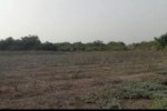 Terrain de 3 hectares à Bambilor  Terrain de 3 hectares à Bambilor