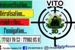 Désinsectisation professionnelle  Désinsectisation professionnelle