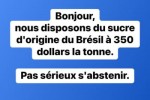 SUCRE DISPONIBLE AU BRESIL SUCRE DISPONIBLE AU BRESIL