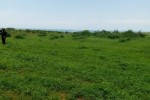 lots de 10 parcelles de 300 metres carres a Guereo lots de 10 parcelles de 300 metres carres a Guereo