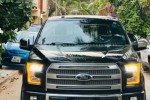 Ford F-150 Platinum 2016