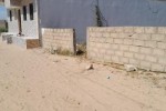 Terrain de 150m2 à keur ndiaye lo Terrain de 150m2 à keur ndiaye lo