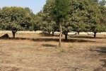 Terrains 225 mètres carrés à vendre à Saly Terrains 225 mètres carrés à vendre à Saly