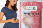 Thé fertilité pour homme et pour femme  Thé fertilité pour homme et pour femme
