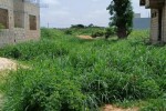 Terrain de 150m2 à keur ndiaye lo  Terrain de 150m2 à keur ndiaye lo