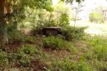 300m terrain verger a louer à Rufisque-Est 300m terrain verger a louer à Rufisque-Est
