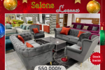 Salons locaux promo Noe13 Salons locaux promo Noe13