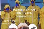“Désinsectisation Express : Libérez Votre Mais “Désinsectisation Express : Libérez Votre Mais