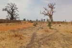 Terrain 1 hectare à vendre à Sandiara Sénégal Terrain 1 hectare à vendre à Sandiara Sénégal