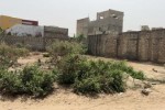 Terrain 300 mètres carrés à vendre à Saly, Sé Terrain 300 mètres carrés à vendre à Saly, Sé