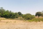 Terrain de 1,04 hectare vers Diossong Terrain de 1,04 hectare vers Diossong
