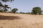 Terrain de 1,05 hectare vers Tassette Terrain de 1,05 hectare vers Tassette