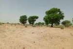 Terrain de 1,06 hectare vers Tassette Terrain de 1,06 hectare vers Tassette