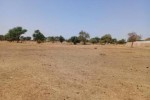 Terrain de 1,08 hectare vers Tassette Terrain de 1,08 hectare vers Tassette