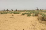 Terrain de 1,09 hectare vers Sindia Terrain de 1,09 hectare vers Sindia