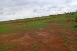Terrain de 1,16 hectare vers Notto Diobass Terrain de 1,16 hectare vers Notto Diobass