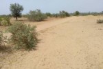 Terrain de 1,28 hectare vers Niakhar Terrain de 1,28 hectare vers Niakhar