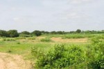 Terrain de 1,28 hectare vers Notto Diobass Terrain de 1,28 hectare vers Notto Diobass