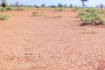 Terrain de 1,34 hectare à Ndiéyene Sirakh Terrain de 1,34 hectare à Ndiéyene Sirakh