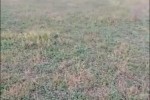 Terrain de 1,44 hectare vers Tataguine Terrain de 1,44 hectare vers Tataguine