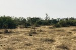 Terrain de 1,6 hectare vers Diender Terrain de 1,6 hectare vers Diender